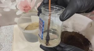 Посадка лозы винограда Лидия 6 января 2026