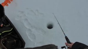 Первые рыбалки в новом году. 2 -5 января 2026г. Дусай-Кичу.