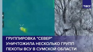 Группировка "Север" уничтожила несколько групп пехоты ВСУ в Сумской области