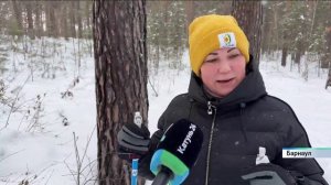 Сотни барнаульцев отмечают Рождество на лыжне на стадионе «Динамо»