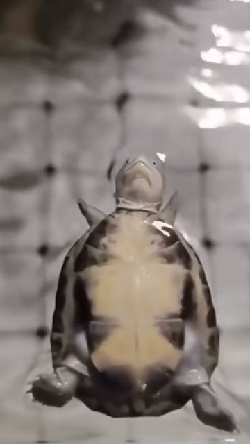 После праздника смотреть онлайн