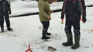 Форель на резину. Основной водоём.