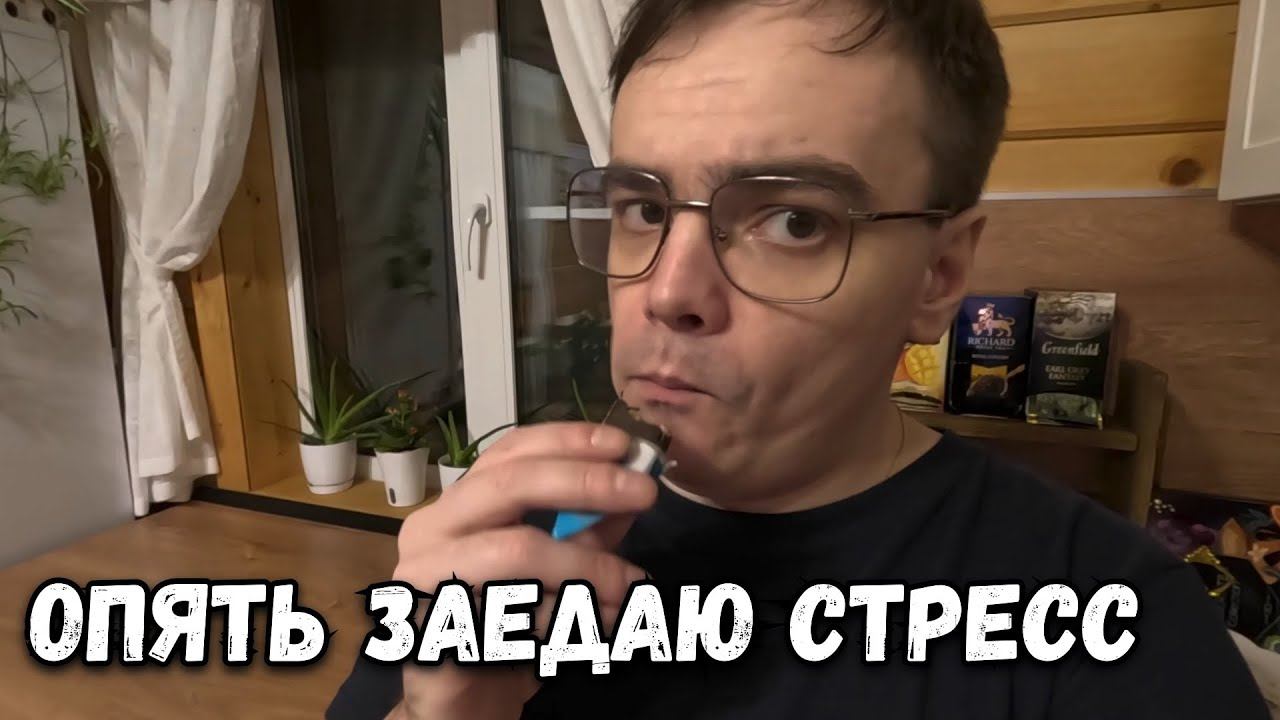 СМОГ ЛИ Я УКРАСИТЬ ДАЧУ ЗА 1 ДЕНЬ? В ОЖИДАНИИ НОВОГО ГОДА смотреть онлайн