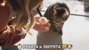 Ребята и зверята от ИИ милое видео для души и радости 👶🏻😺🐶 (24)