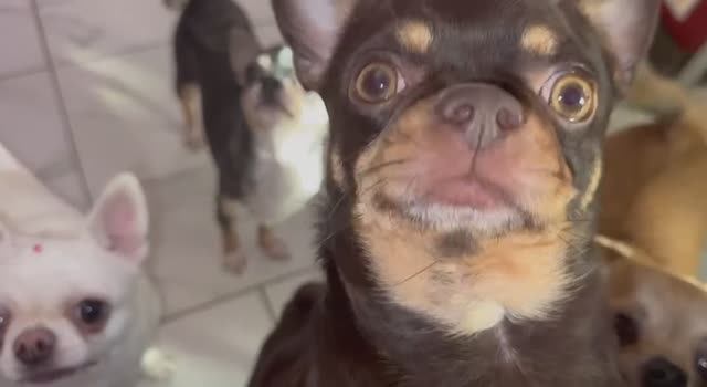 Вот как с ними не поделиться.