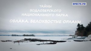Тайны Водлозерского национального парка