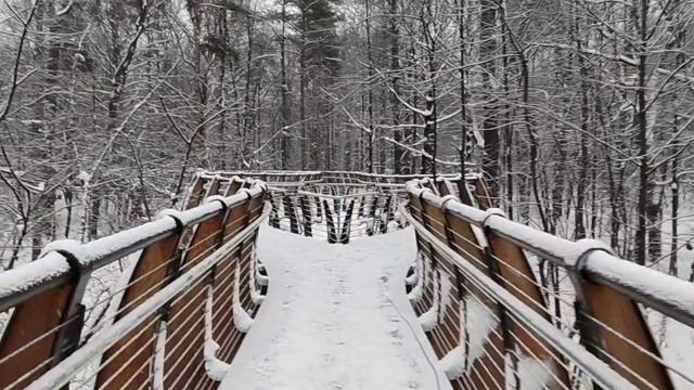 Подвесная экотропа в Москве смотреть онлайн
