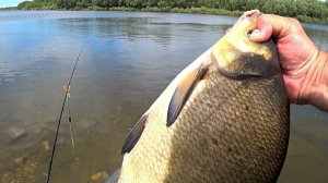 Рыбалка на фидер! Клюёт один за другим!Эта снасть на леща не подводит!