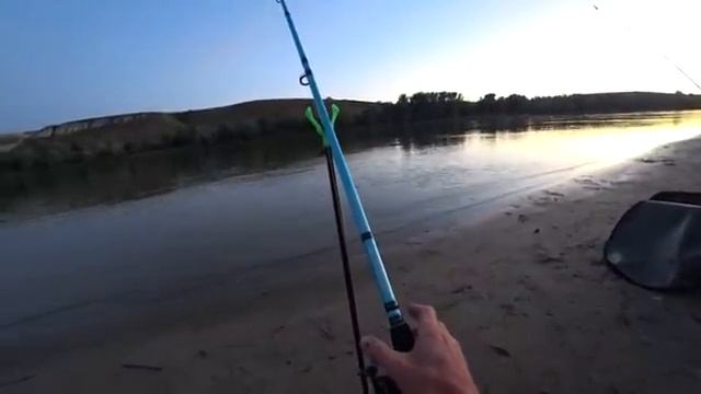 РЫБА ПОШЛА И ТОЛПА ПРИШЛА! НА САМЫЕ ПРОСТЫЕ СНАСТИ КЛЮЁТ ЧЕХОНЬ, ЛЕЩ, КАРАСЬ, ГУСТЕРА, СОПА! смотреть онлайн