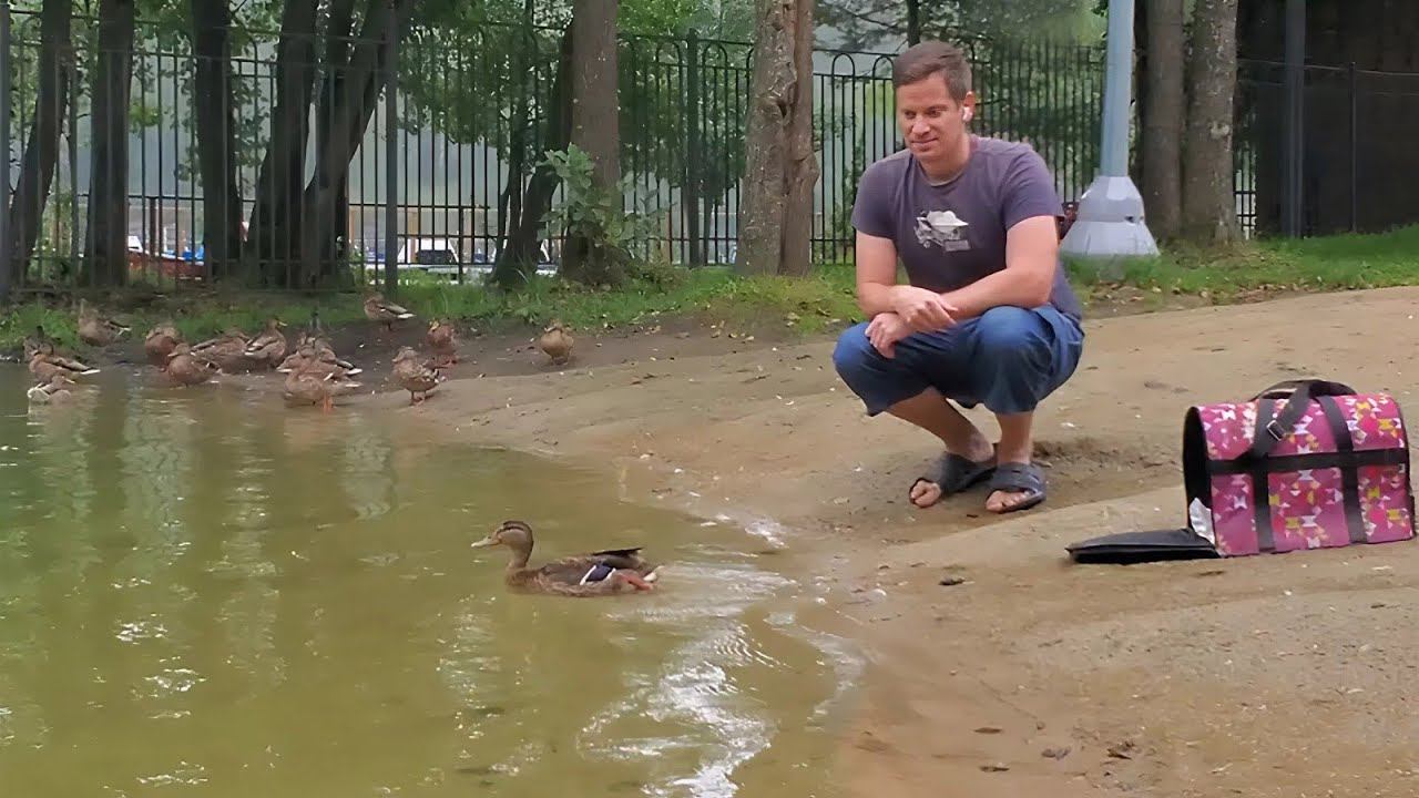 УТОЧКА. ВЫПУСК смотреть онлайн