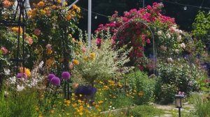 САДОВНИЦА  В КОРЕЕ  БЫЛА БЕЗ УМА ОТ РОЗ, ПОЭТОМУ ОНА  СОЗДАЛА САД... и через 3 года он стал таким!!