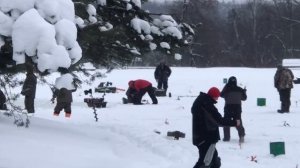 ещё одна форель на льду