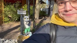 Светлогорск: город в лесу, где воздух чище, а ветер теплее!  | Прогулка с МИСТЕР ВВ