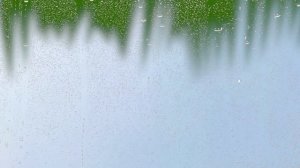 ПЕРЕХОД СНЕЖОК 04