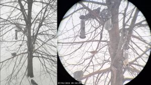 Кормушка для птиц 07.01.2026