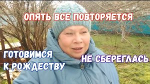 #160🏡Не сбереглась/Покупки в дом/Готовимся к Рождеству