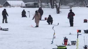 поимка форели