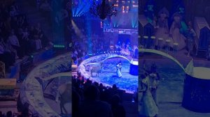 Шикарный цирк