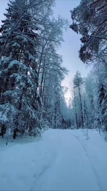 с добрым морозным утром смотреть онлайн