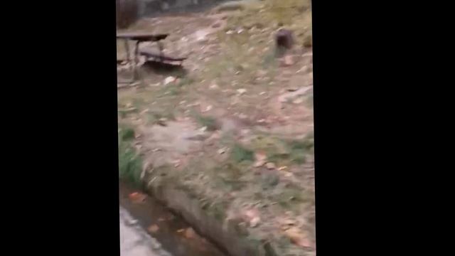 качели? часть 2 смотреть онлайн