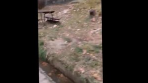 качели? часть 2