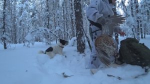 ПО ПУТИКУ В ПЕРВЫЕ ДНИ НОВОГО ГОДА. ТРУДОВАЯ КУНИЦА И РАБОТА СЕВЕРА ПО БОРОВОЙ.