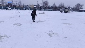 VID_20260107_115117_961