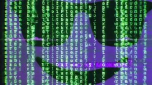 Сенчоус против сани ( много эффектов)