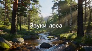 Звуки леса | пение птиц