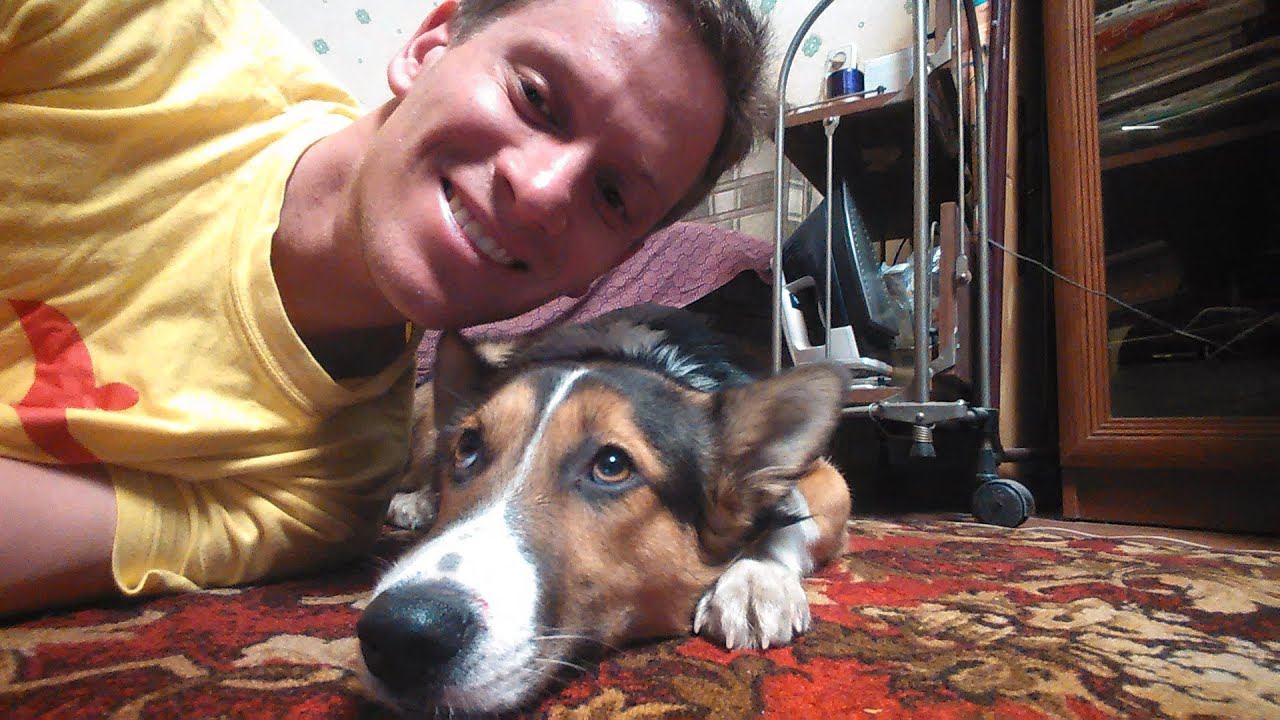 Ко мне в гости заглянула собака. 2014 ГОД смотреть онлайн