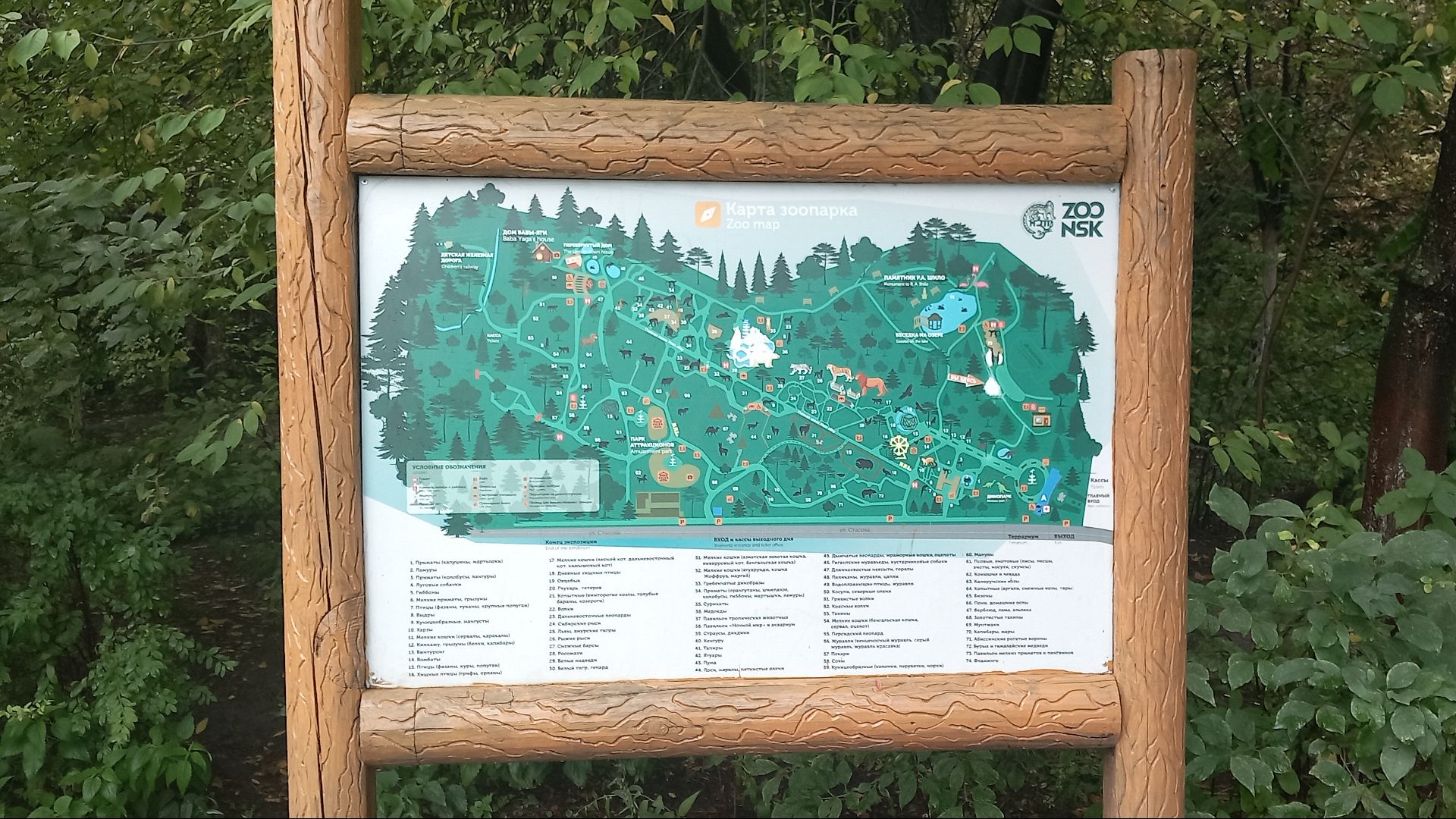 15.08.2024г
г. Новосибирск
Новосибирский зоопарк им. А.Н. Шило