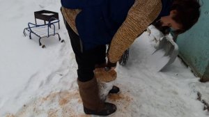 девон и берёза на 1 скорости mp4