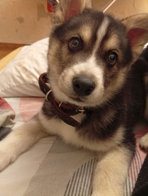 просто эфир хз