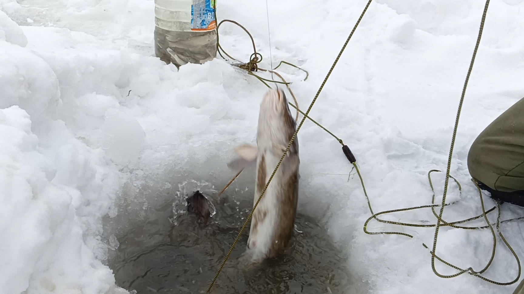 Проверка перемета на реке Чумыш.6.01.26г. смотреть онлайн