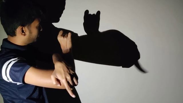 Мастер класс по владению Теневой куклы смотреть онлайн