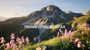 Пение птиц | Звуки природы в горах