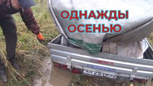 Однажды осенью мы ездили на Пельце за ягодами