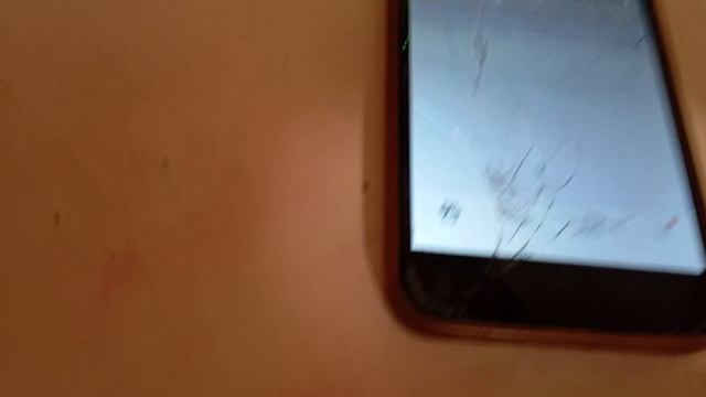 Annat приложение для собачников смотреть онлайн