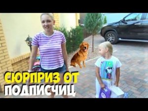 НЕОЖИДАННЫЙ СЮРПРИЗ для Алисы от ПОДПИСЧИЦ!