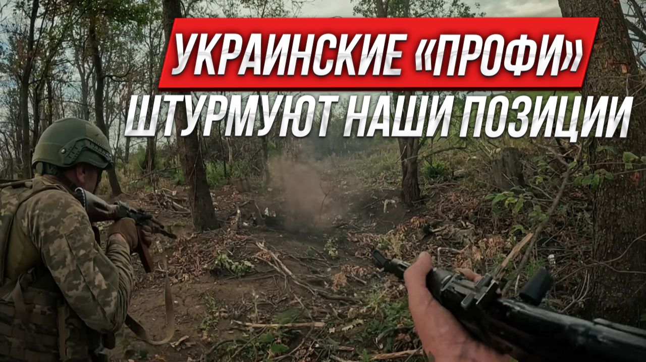 Украинские «профи» штурмуют наши позиции | Инструктор смотрит смотреть онлайн