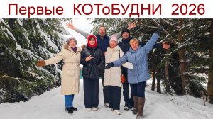 КОТоБУДНИ первой недели 2026 года или Кабы не было Зимы...
