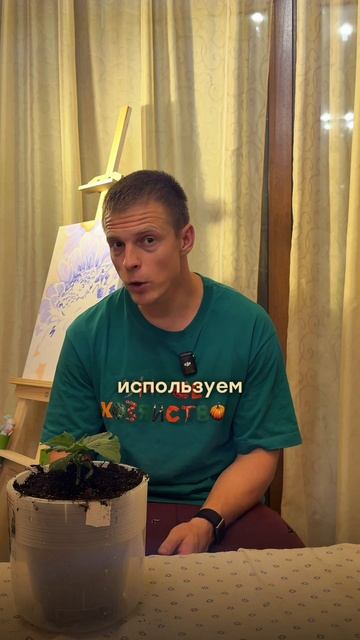 Идеальный грунт для зимних огурцов — рецепт, который НЕ убьёт корни!