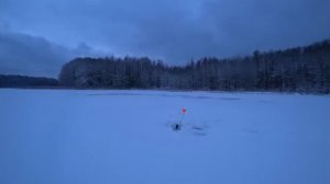 ПЕРВЫЙ ЛЁД В БЕЛАРУСИ. ОТКРЫВАЮ СЕЗОН. РЫБАЛКА НА ЖЕРЛИЦЫ 2026!