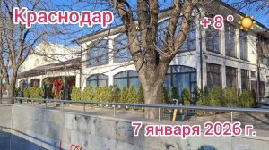 Краснодар - прогулка по улицам города - Чистяковская роща - 7 января 2026 г.