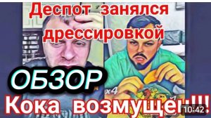 САМВЕЛ АДАМЯН, НОВЫЙ СПОСОБ ЗАРАБОТКА В ТИКТОКЕ, КУРЫ ВСЕГДА ГОТОВЫ, КОКИНЫ АРОМАТЫ..