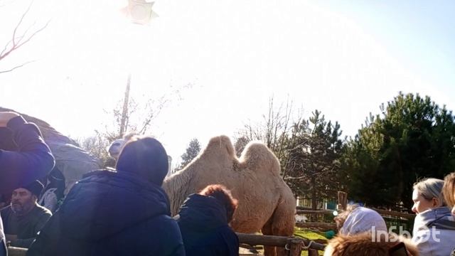 Сходила в Рожденствннский храм Краснодар смотреть онлайн