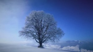 КРАСИВАЯ СПОКОЙНАЯ МУЗЫКА ДЛЯ ДУШИ СЛУШАТЬ. RELAXATION MUSIC.