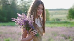 DNDM  - [ _Мадам_ ]