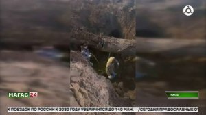 Работа оперативного штаба в Ингушетии продолжается