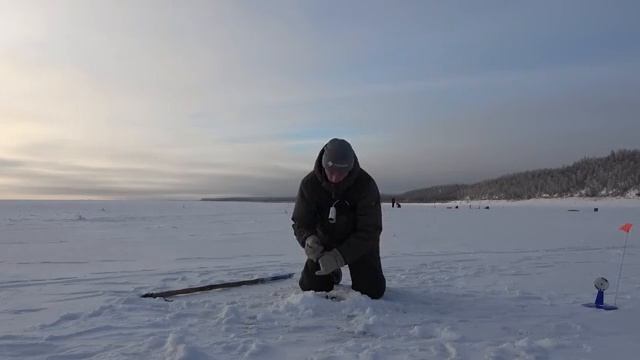 ЖЕСТЬ!! НАЛИМ ГИГАНТ ПОЕДАТЕЛЬ ЩУК ПОЙМАН! Вот это рыбалка! смотреть онлайн